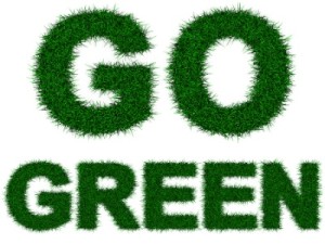 Primus Dental Design Go Green 300x225 - Start a Grassroots Green Initiative