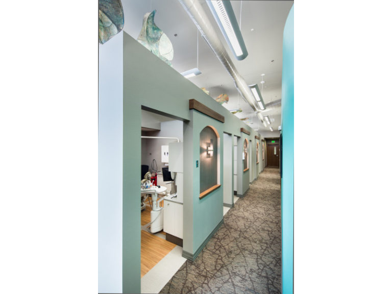 DENTAL TOUCH ASSOCIATES Primus Dental